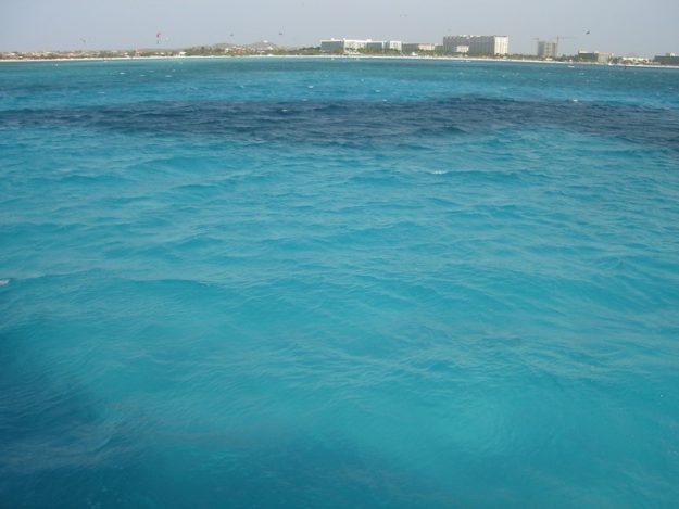 aruba o que fazer snorkel arashi