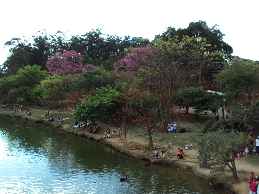 Adoro sentar na beira de um lago e olhar a paisagem, como essa galera aí na foto. Foto: Marcelle Ribeiro