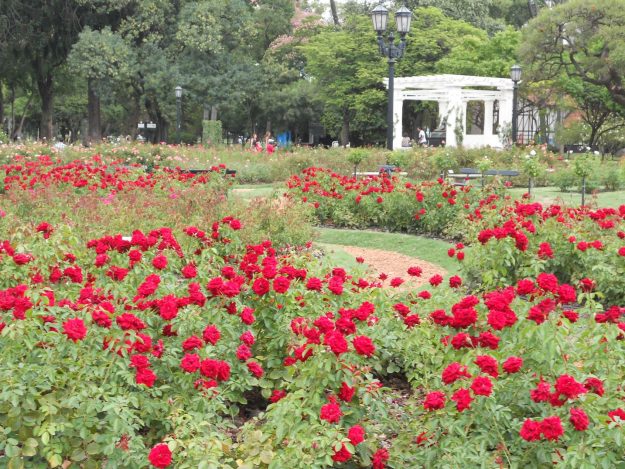buenos-aires-rosedal1
