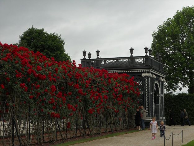 jardim de Schonbrunn