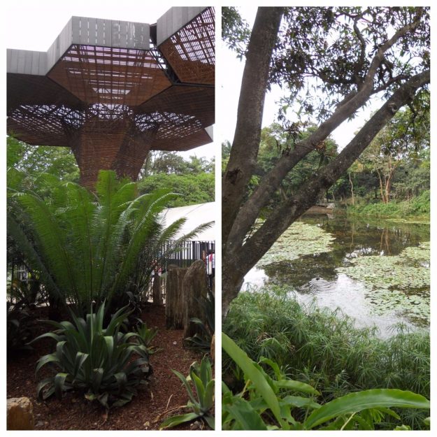 medellin-parques1