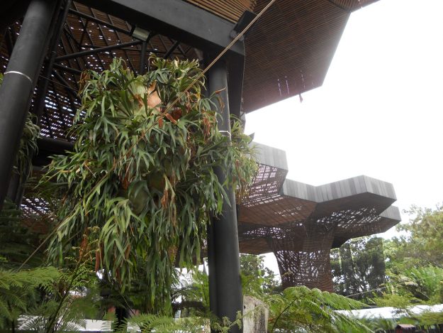 medellin-parques2