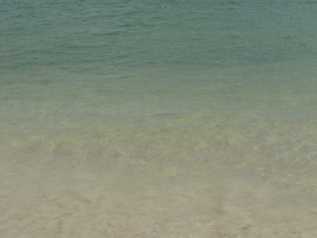 ilha-do-campeche-passeio-onda