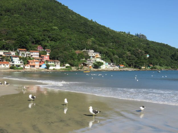 Praia Pântano do Sul