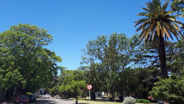 plaza mayor