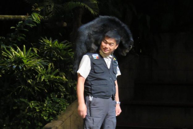 singapura-night-safari2