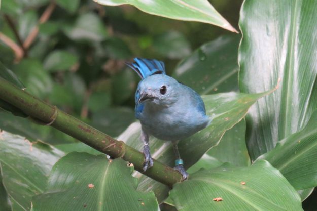 singapura-jurong-park3