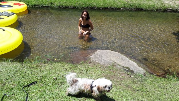 cachorro banho parque das corredeiras mauá