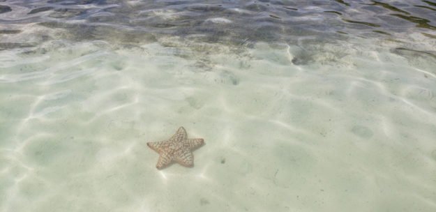 estrela do mar passeio de caiaque san andres
