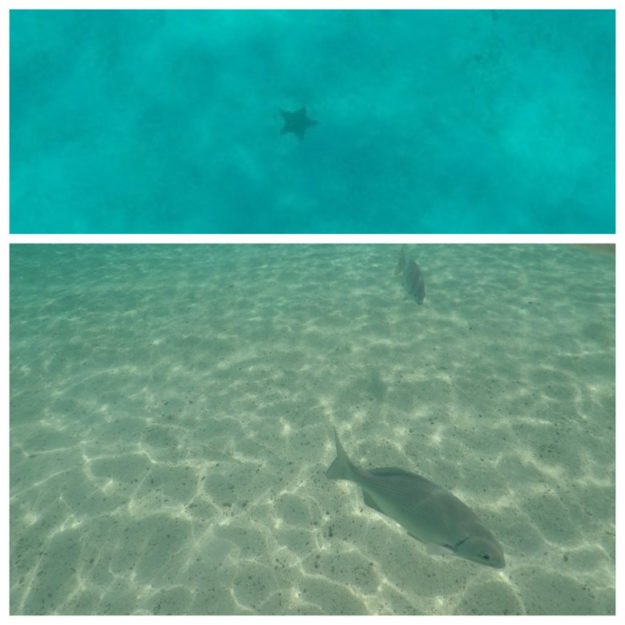 ilha de providencia fundo do mar