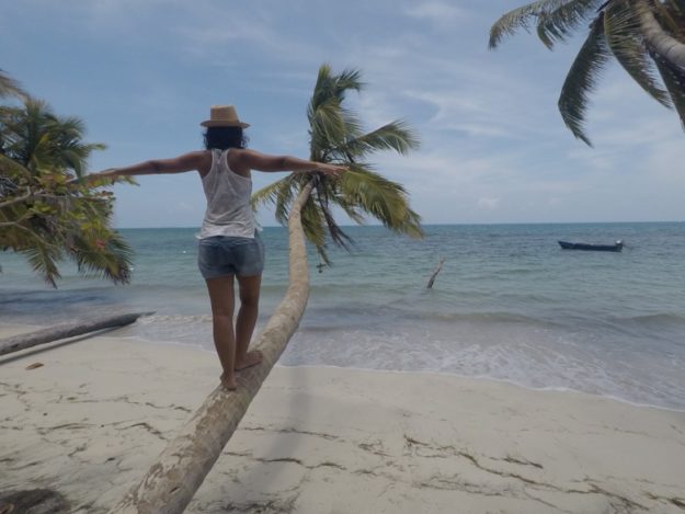 praia de mazanillo ilha de porovidencia coqueiro
