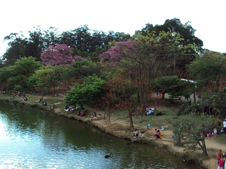 o que fazer em sp ibirapuera