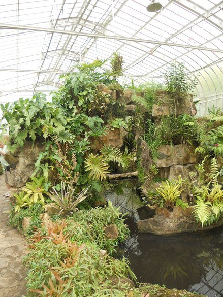 o que fazer em sp jardim botânico estufa