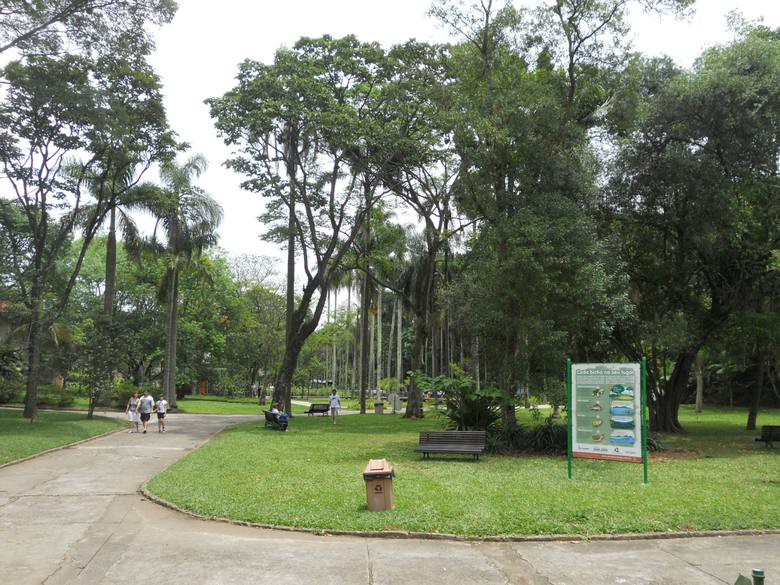 o que fazer em sp jardim botânico organizado