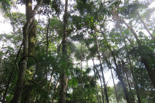 Parque Nacional de Itatiaia o que fazer