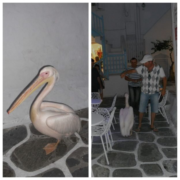Mykonos, Grécia, Mykonos Town
