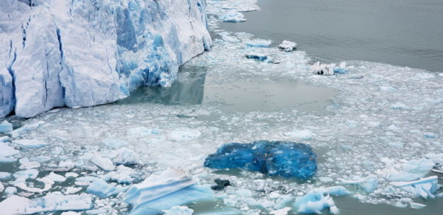 lago dos icebergs glaciar perito moreno