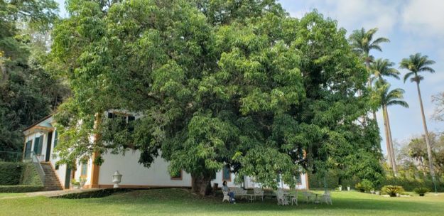 fazenda vista alegre jardim o que fazer em vassouras