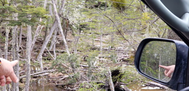 expedicao 4x4 ushuaia estrago castores