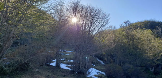 parque nacional tierra del fuego